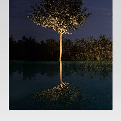 P-Koon / P-Ket <br>Lichtskulpturen